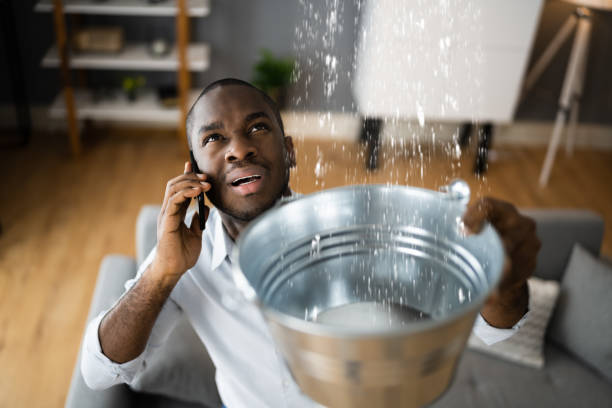 Best 24/7 water damage repair  in Ellsworth, KS