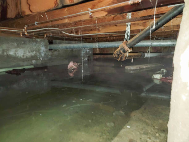 Best Water damage cleanup near me  in Ellsworth, KS