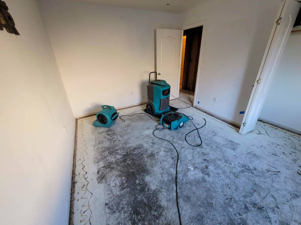 Best Flood restoration services  in Ellsworth, KS