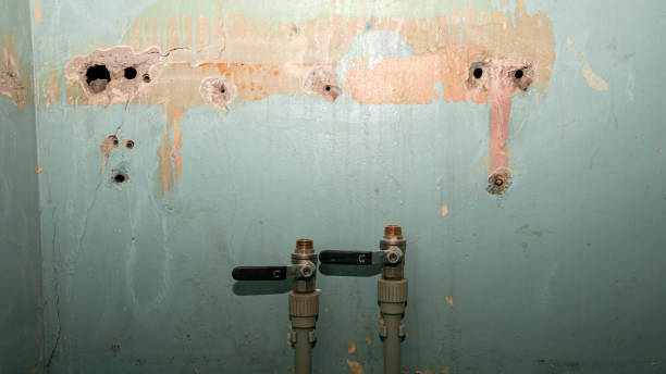Best Local water damage restoration  in Ellsworth, KS