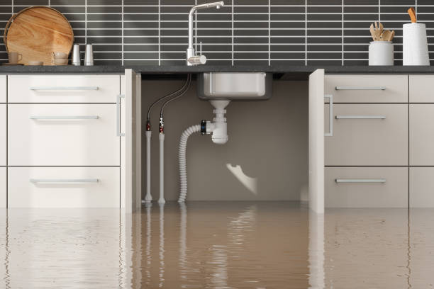 Best Ceiling water damage repair  in Ellsworth, KS