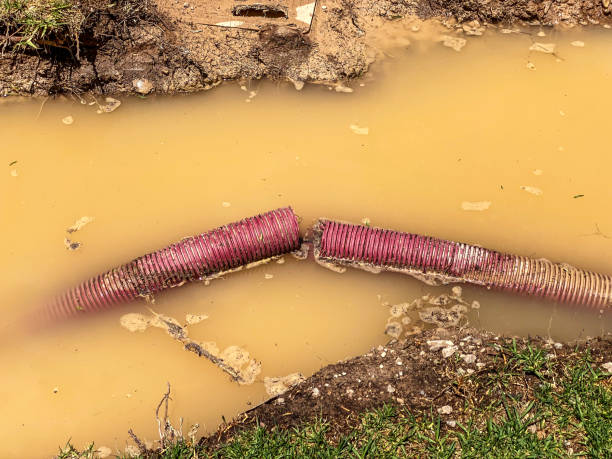 Best Water damage restoration near me  in Ellsworth, KS