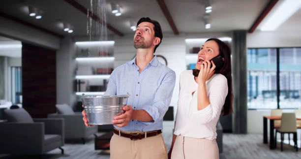 Best Basement water damage restoration  in Ellsworth, KS