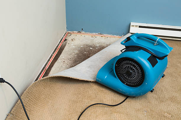 Best Water damage restoration company  in Ellsworth, KS